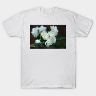 White Mountain Flowers in the Winter Rain T-Shirt